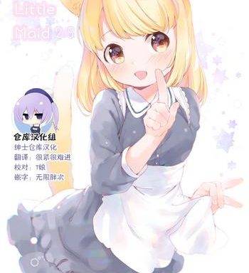 my little maid 2 5 cover