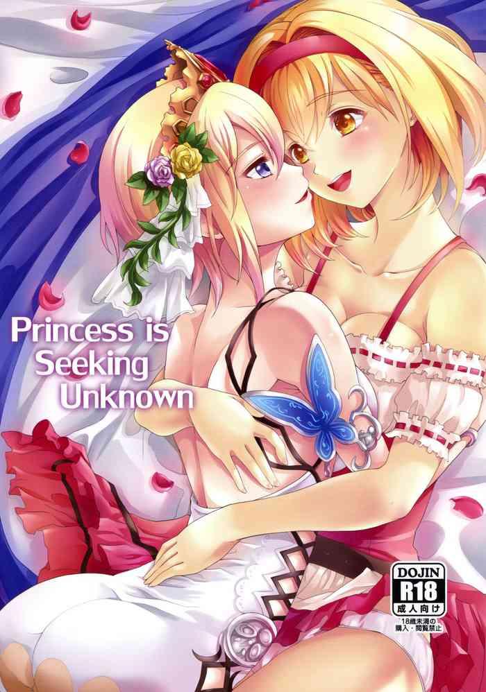 princess is seeking unknown cover