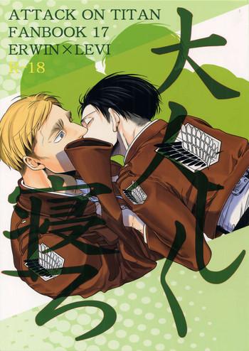 265303 cover