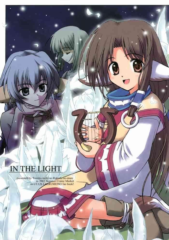 in the light cover