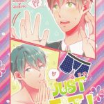 just fit cover