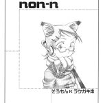 non n cover