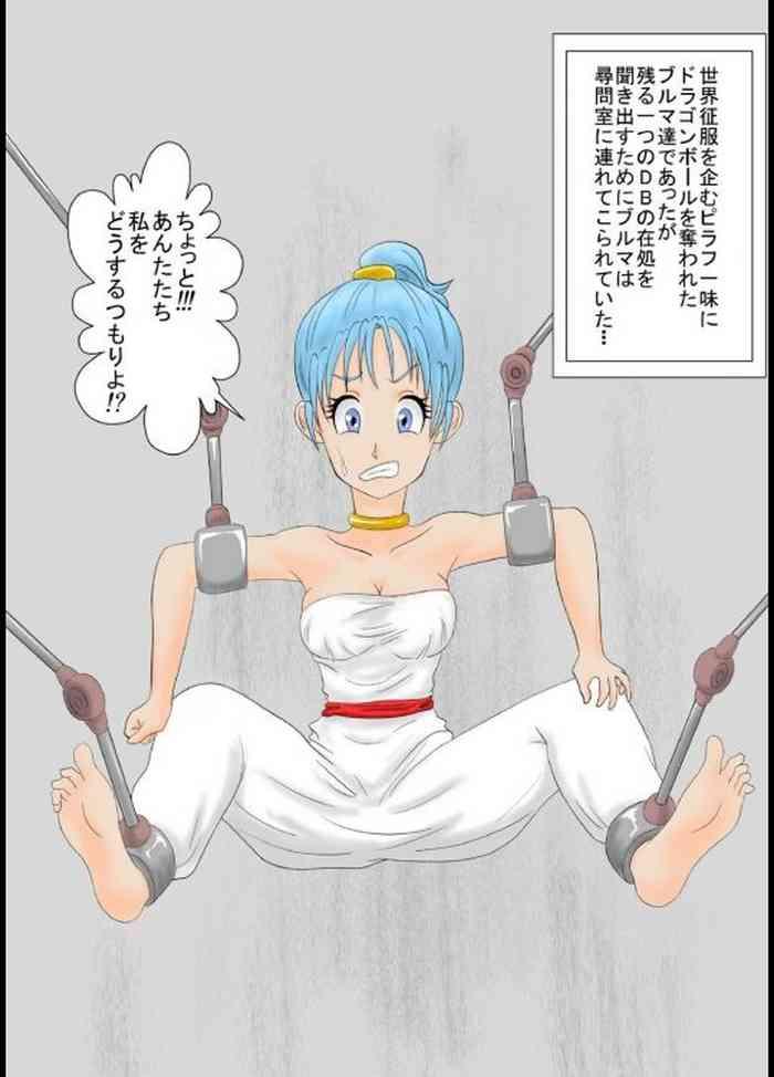 dragon ball bulma cover