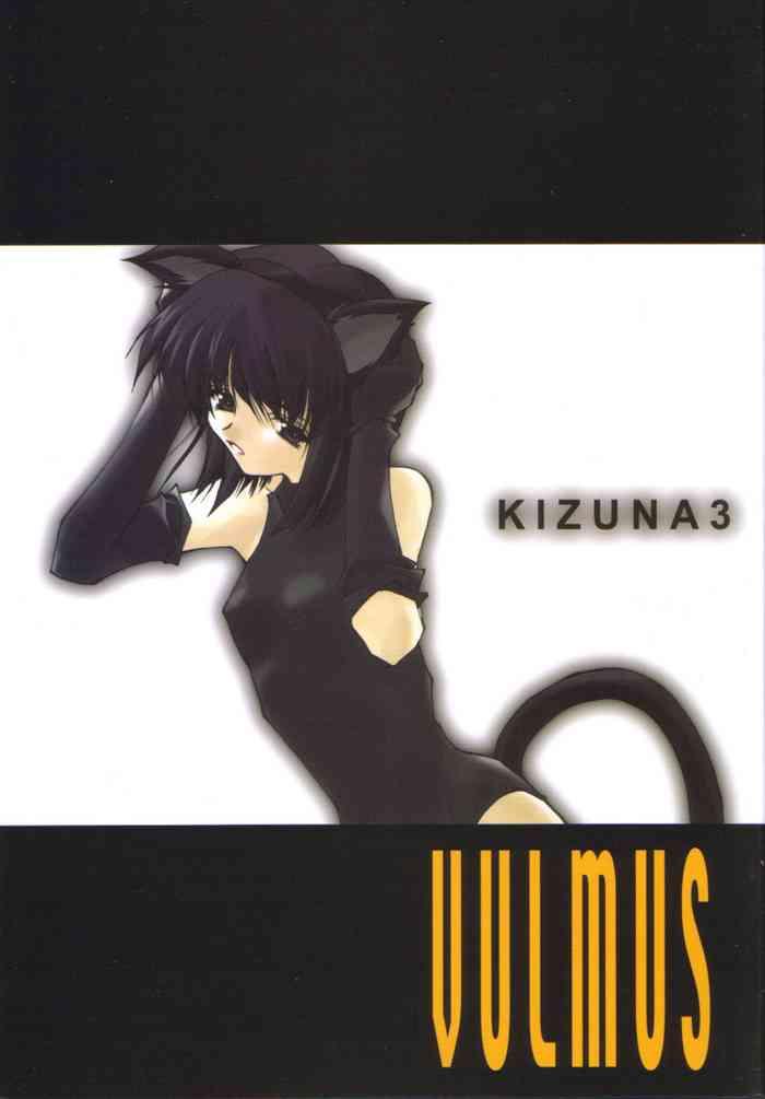 kizuna 3 vulmus cover