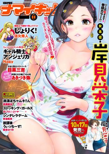 namaiki 2017 11 cover