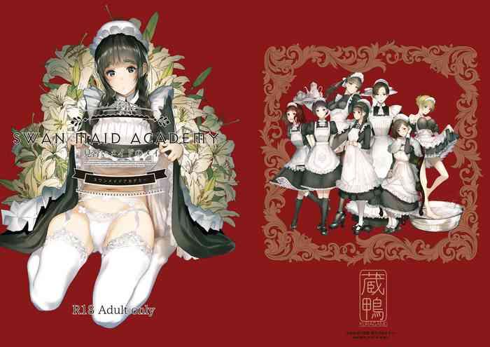 swan maid academy cover