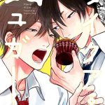 like a sugar ch 1 4 cover