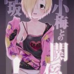 shirasaka koume to no kankei cover