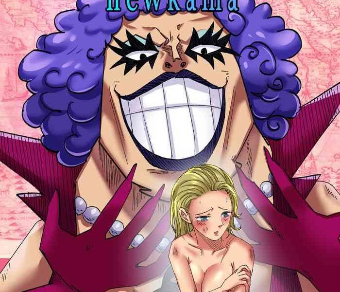 one piece newkama cover