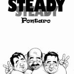 steady cover