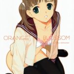 orange blossom cover