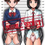 double secret cover